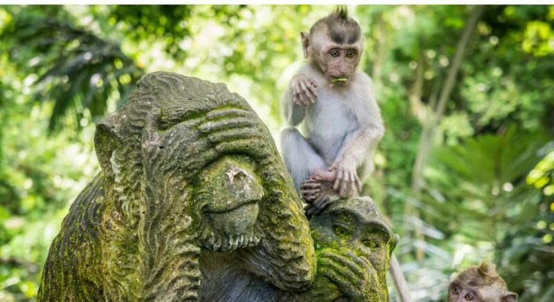 Ubud: Customised Ubud Tour with Private Driver Experience - Key Points