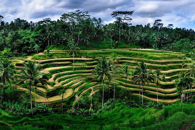 Ubud Customized Tour All-Inclusive - Exploring the Ubud Customized Tour All-Inclusive: A Balanced Look at Bali’s Best