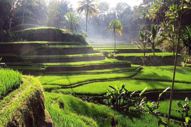 Ubud Customized Tour: Pick Ubud Attractions as Your wish - Key Points