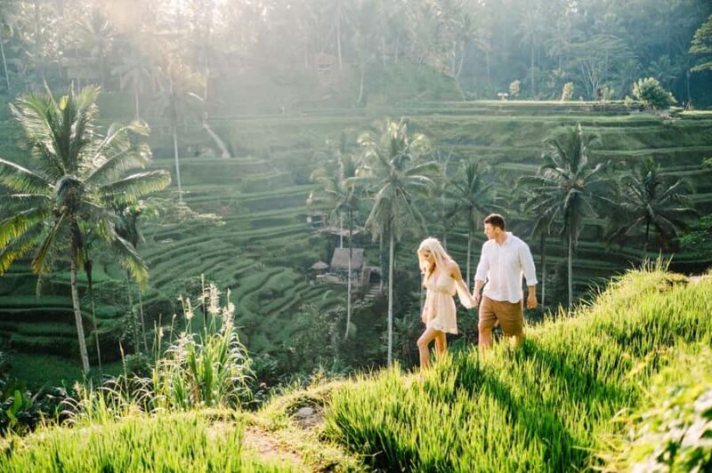 Ubud Customized Tour-Ubud Charter - Key Points