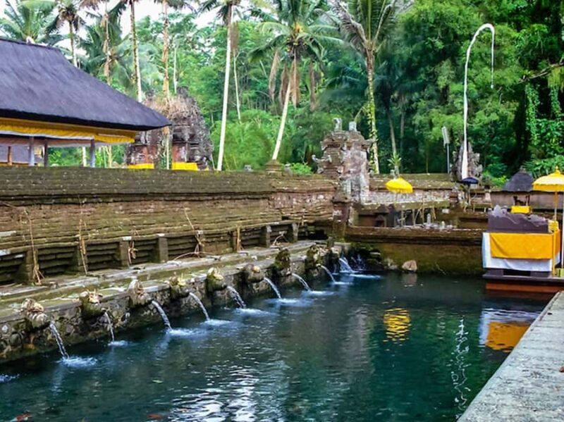 Ubud Customized Tour-Ubud Charter - Authentic Insights from Reviews