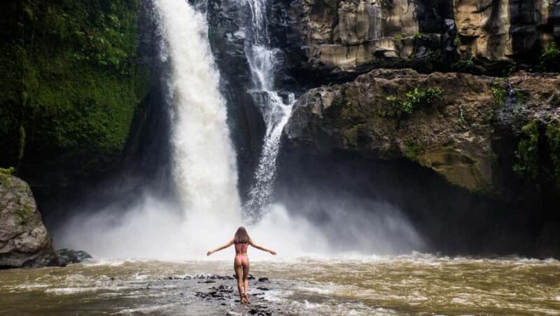 Ubud: Customized Ubud Fullday Tour With Private Driver - Key Points