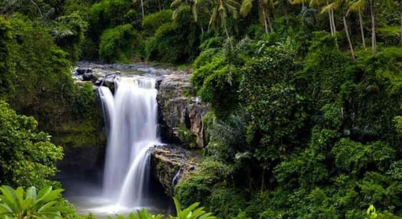 Ubud: Customized Ubud Tour With Private Car - Exploring Bali with a Private Ubud Tour: Authentic, Flexible, and Full of Highlights