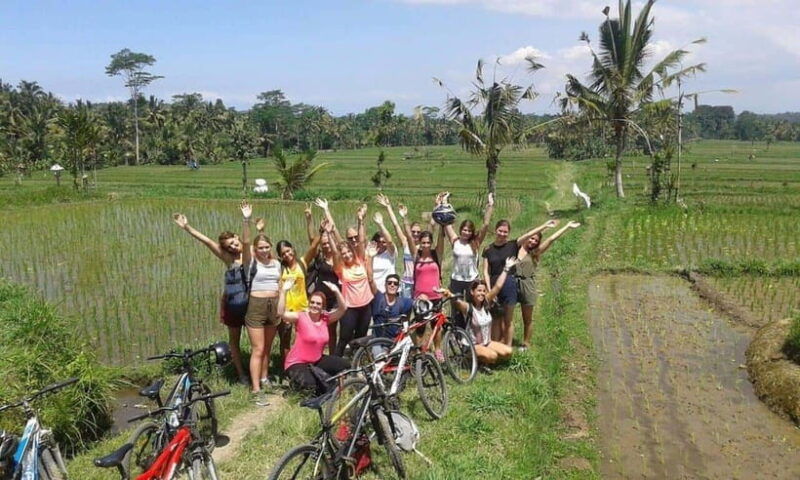 ubud-cycling-tour-local-villages-temple-and-rice-field