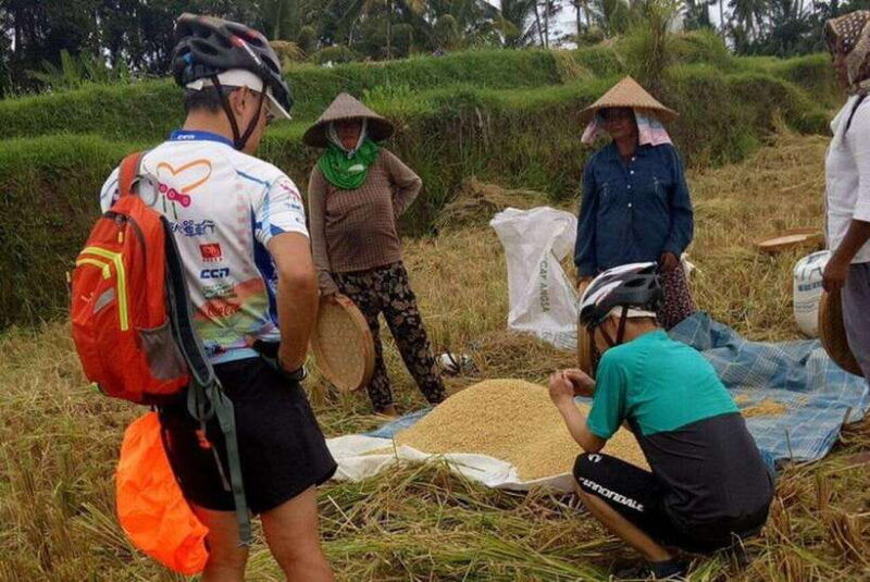 ubud-cycling-tour-local-villages-temple-and-rice-field