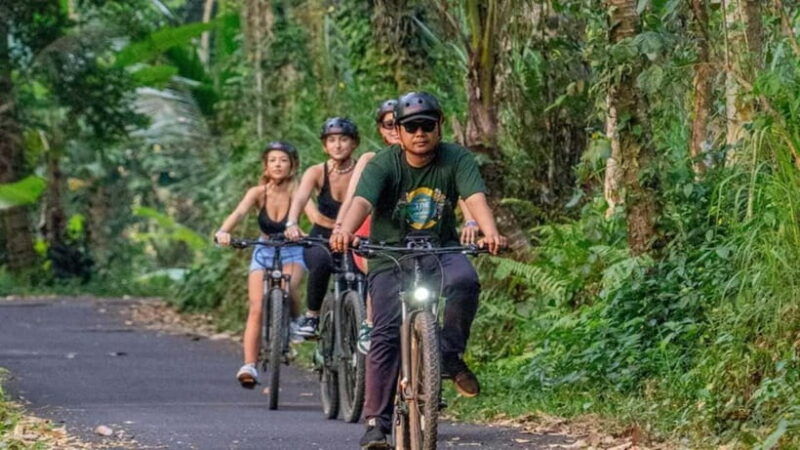 ubud-cycling-tour-local-villages-temple-and-rice-field