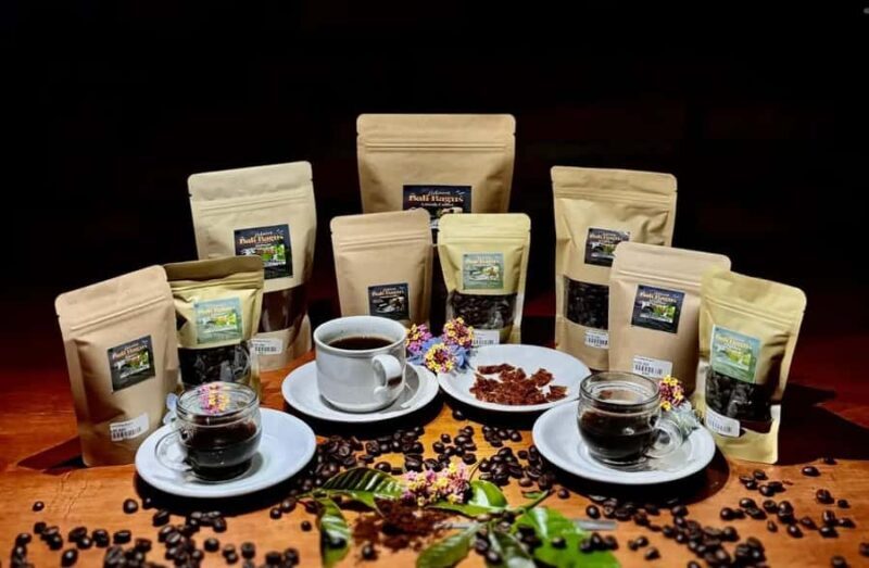 Ubud Day Tour  Japanese Guide Included - Exploring Ubud: What to Expect from the Tour