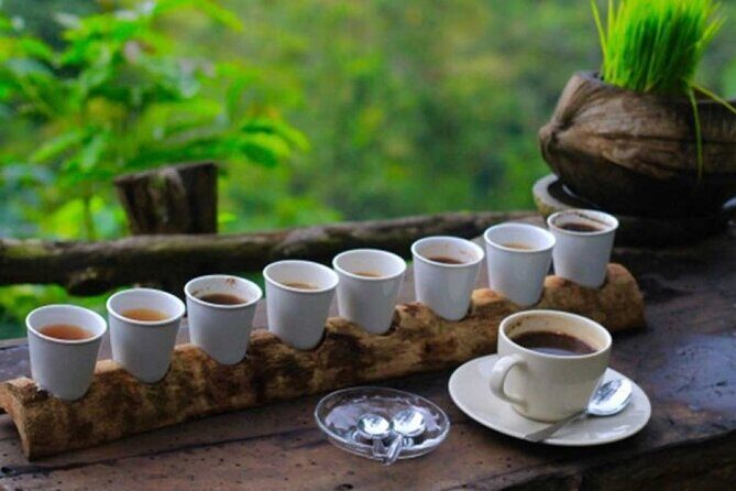 Ubud Day Tour: Sacred Monkey Forest, Rice Terraces and Waterfall - An In-Depth Look at the Ubud Day Tour