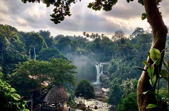 Ubud Day Tour with Private Car & Local Driver - The Sum Up