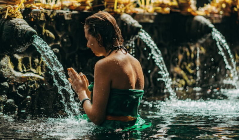 Ubud Day Tours (Private and All Inclusive) - The Bottom Line: Who Is This Tour Perfect For?