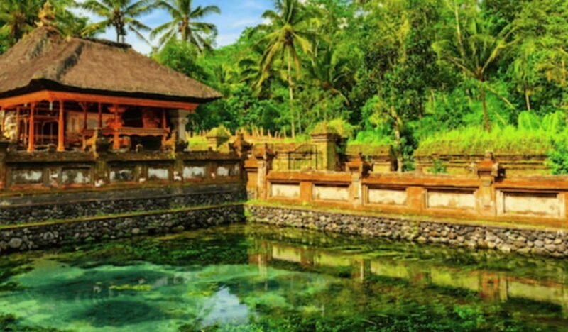 Ubud Day Tours (Private and All Inclusive) - Frequently Asked Questions