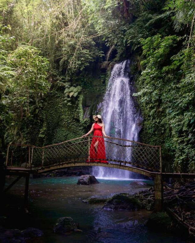 ubud-discover-hidden-waterfalls-with-swing-rice-terrace