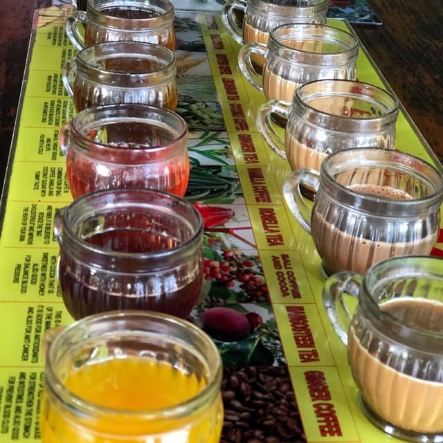 ubud-discover-hidden-waterfalls-with-swing-rice-terrace