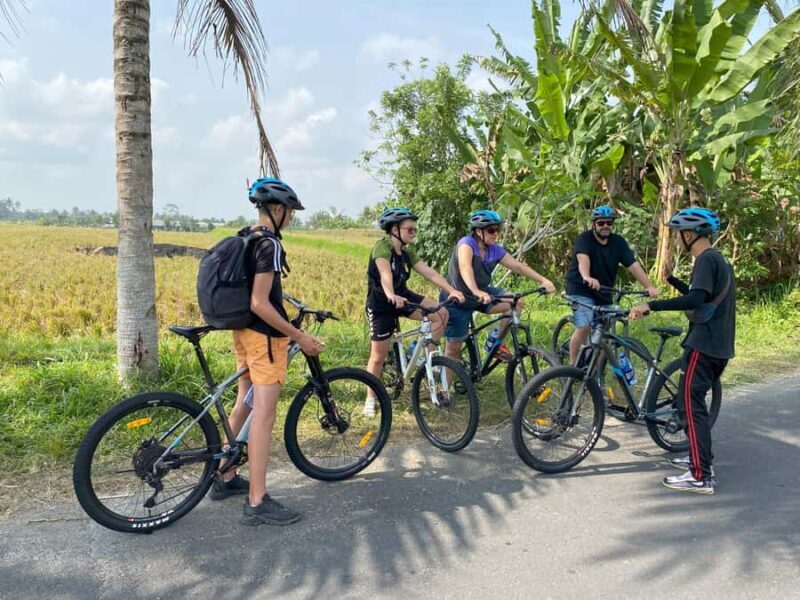 Ubud: Downhill Bike Tour with Rice Fields, Volcano and Meal - Culinary Delights and Convenience