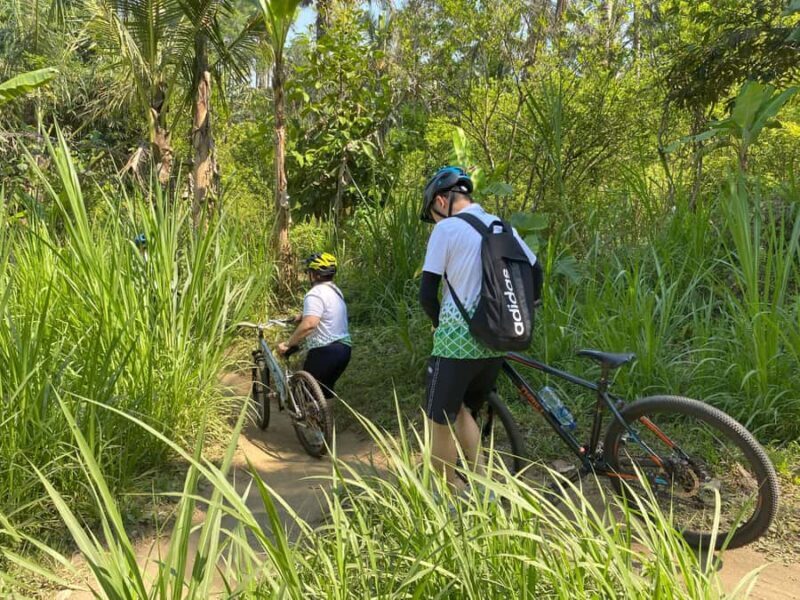 Ubud: Downhill Bike Tour with Rice Fields, Volcano and Meal - What to Bring and Know