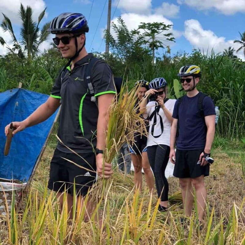 Ubud: Downhill Cycling Tour Through Jungle and Rice Terraces - Authentic Experiences and Review Highlights