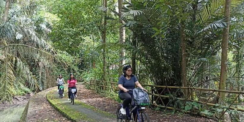 ubud-e-bike-tour-whitewater-rafting