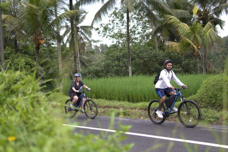 ubud-e-bike-tour-with-rice-terrace-and-village-visit