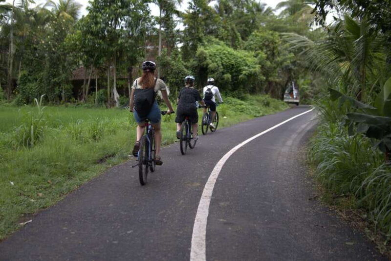 ubud-e-bike-tour-with-rice-terrace-and-village-visit