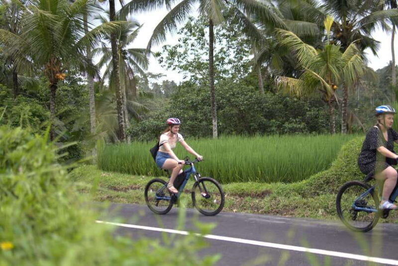 ubud-e-bike-tour-with-rice-terrace-and-village-visit