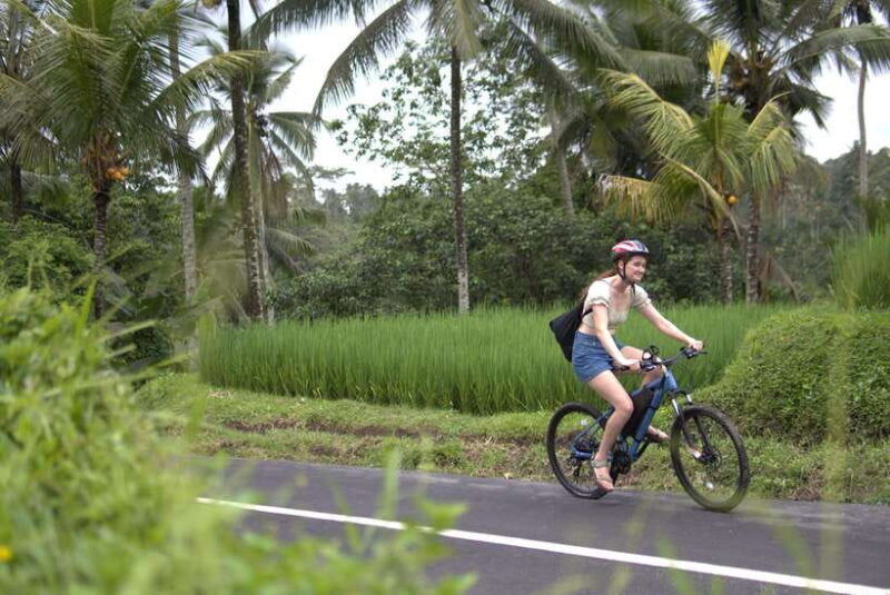 ubud-e-bike-tour-with-rice-terrace-and-village-visit