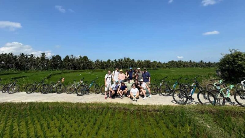 Ubud: E-Bikes Tour & Swing Bali - Key Points