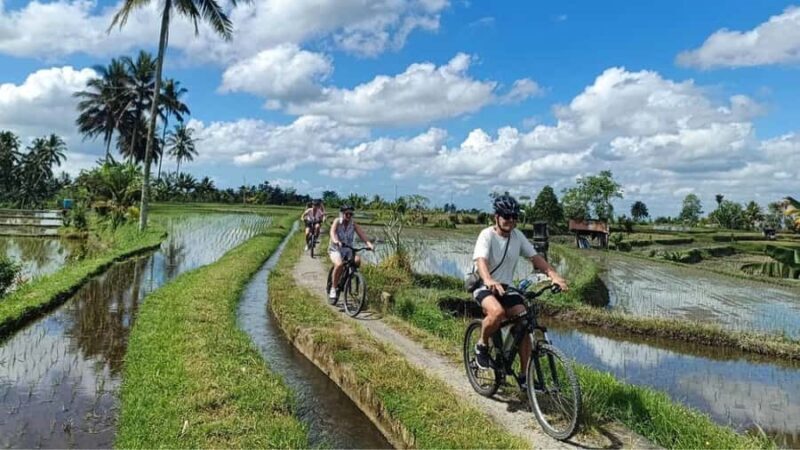 Ubud: E-Bikes Tour & Swing Bali - The Itinerary in Detail