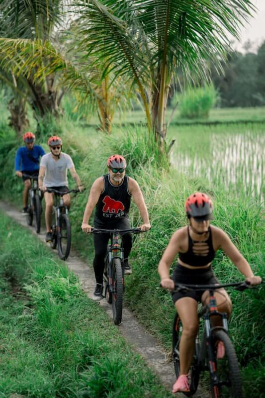 Ubud Eco Culture Cycling - What to Expect from the Ubud Eco Culture Cycling Tour
