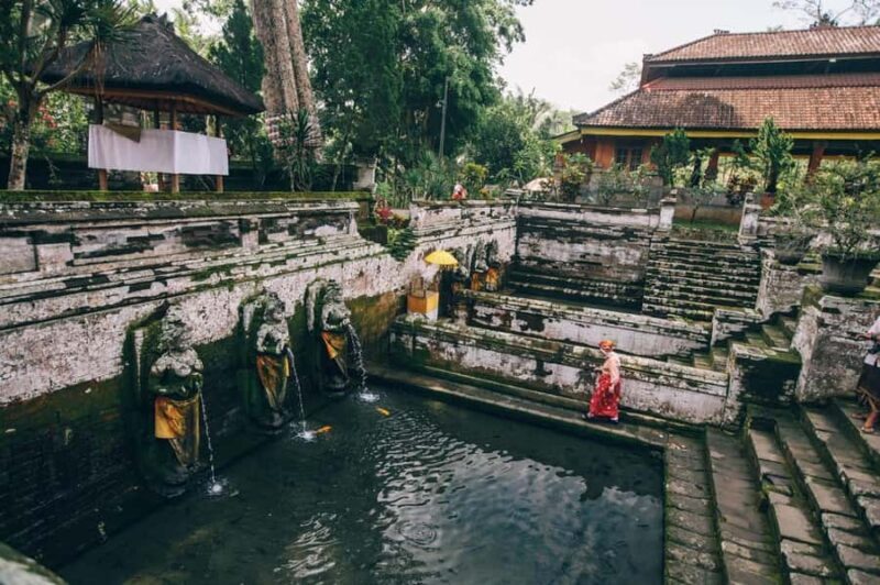 Ubud: Elephant Cave & Pakerisan UNESCO Guided Tour - Practical Aspects and Tour Logistics