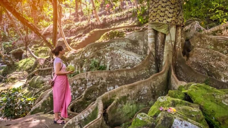 Ubud: Elephant Cave & Pakerisan UNESCO Guided Tour - What to Bring and Wear