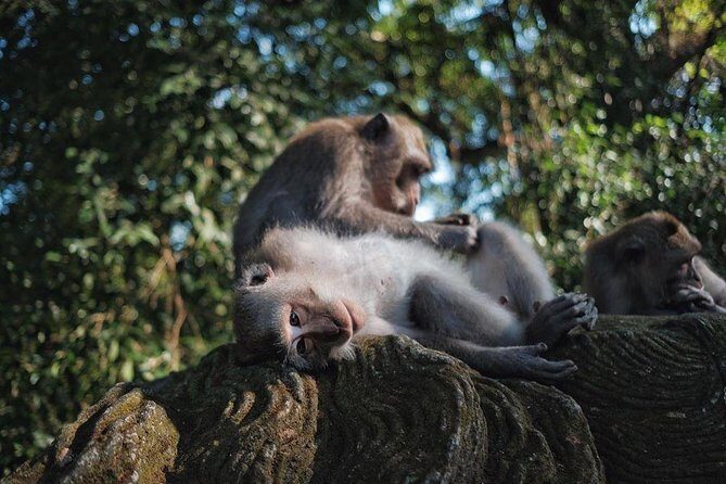 Ubud Excursion: Barong Dance, Art Villages, Nature, Temple and Waterfall - Optional Stops and Personalization