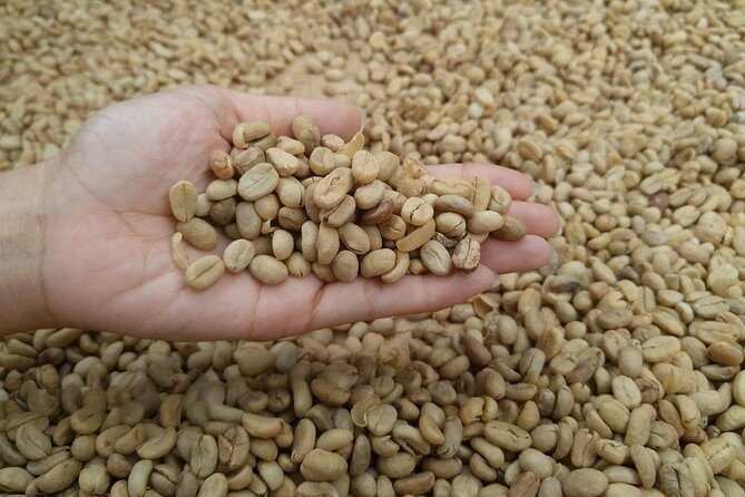 Ubud Experience - The Sum Up: Is the Ubud Experience Worth It?