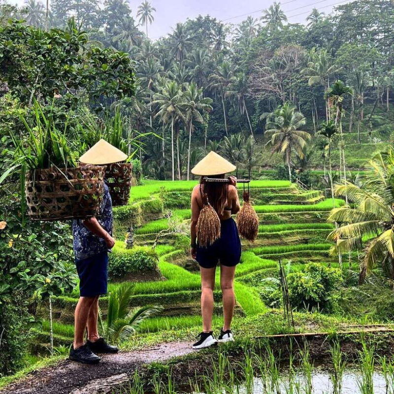 ubud-experience-waterfalls-rice-terraces-and-water-temple