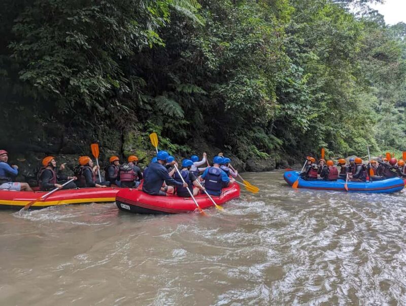 Ubud: Family-Friendly Ayung River Rafting Experience - Key Points