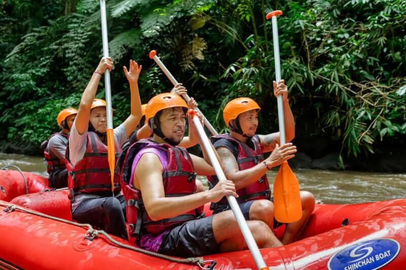Ubud: Family-Friendly Ayung River Rafting Experience - Introduction: What to Expect from the Ubud Family Rafting Adventure