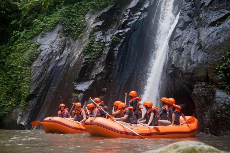 Ubud: Family-Friendly Ayung River Rafting Experience - Who Is This Tour Best For?