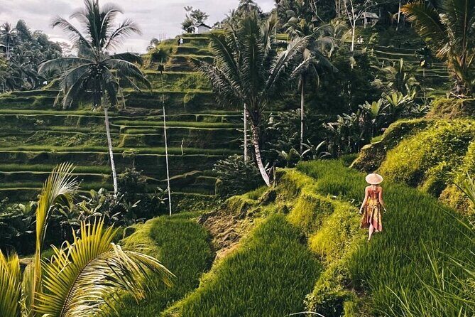 Ubud Full Day All Inclusive Tour - Private Experienece - Who Will Love This Tour?