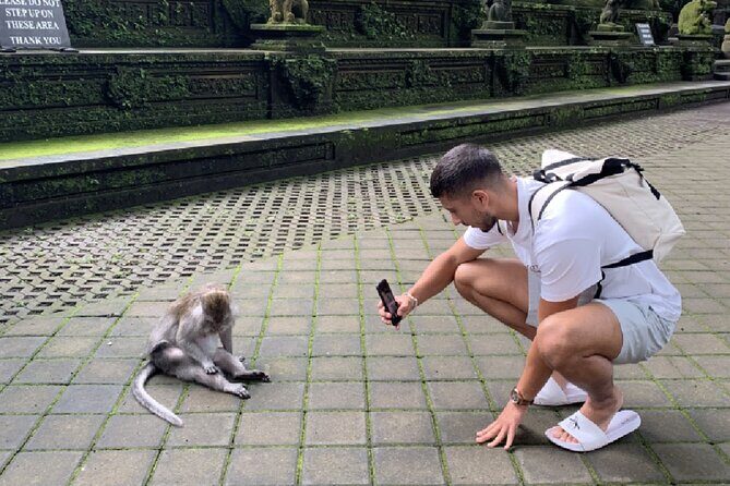 Ubud Full Day All Inclusive Tour - Private Experienece - The Sum Up: Who Should Book This Tour?