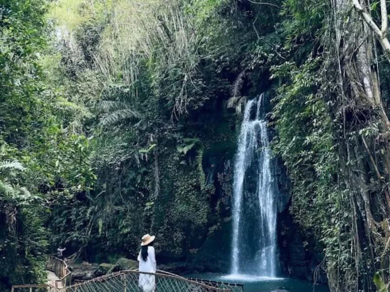 Ubud: Full-Day. Rice Terrace, Tirta Empul Temple & Waterfall - Key Points