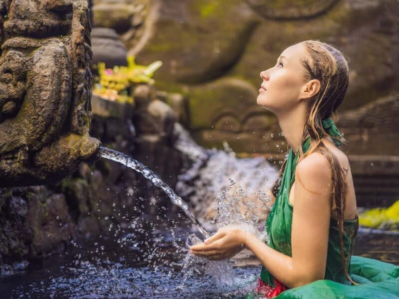 Ubud: Full-Day. Rice Terrace, Tirta Empul Temple & Waterfall - Visiting a Local Coffee Plantation