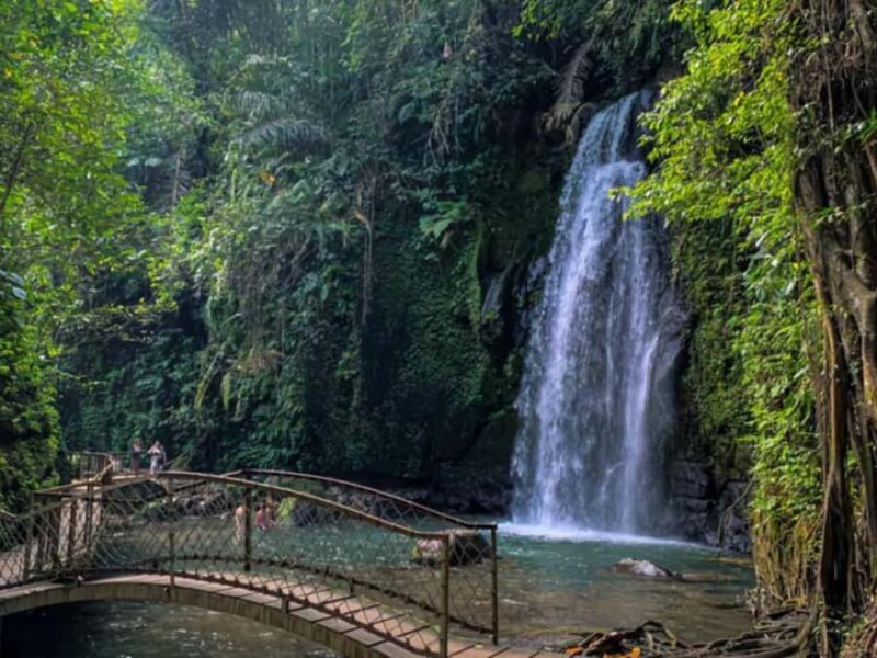 Ubud: Full-Day. Rice Terrace, Tirta Empul Temple & Waterfall - Who Will Love This Tour?