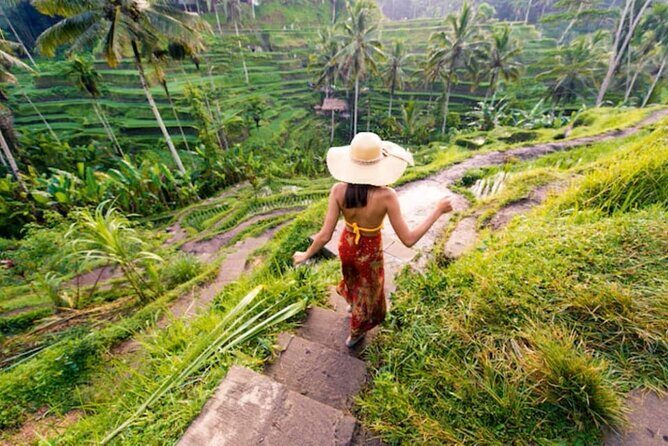 Ubud Full Day Tour: Private and Customizable - Key Points