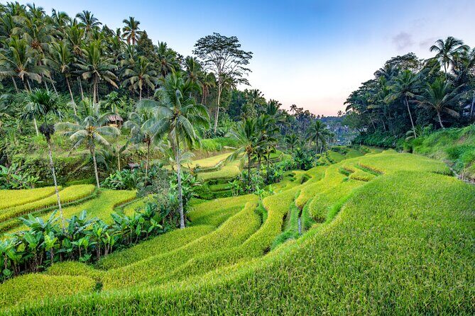Ubud Full Day Tour with Entry Tickets - FAQs