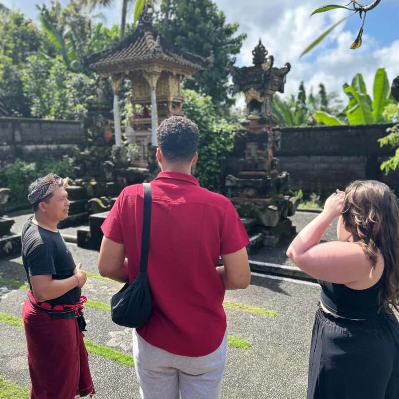Ubud Gallery Experience: Culture, Waterfall & Rice Terrace - Authenticity and Review Insights