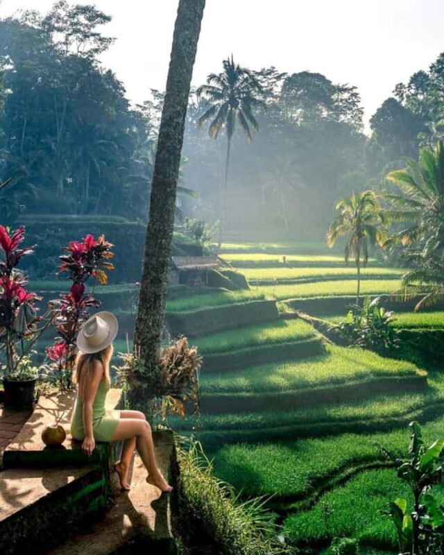 Ubud: Goa Garba, Waterfalls, and Rice Terrace Private Tour - Key Points
