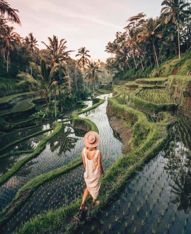 Ubud: Goa Garba, Waterfalls, and Rice Terrace Private Tour - In-Depth Look at Each Stop