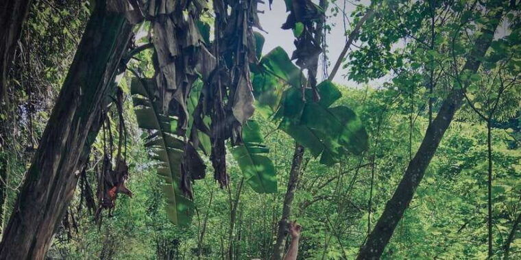 ubud-gorilla-face-atv-batur-natural-hotspring-with-lunch
