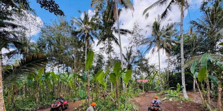 ubud-gorilla-face-quad-bike-jungle-swing-waterfall-meal