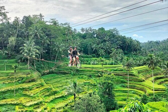 Ubud Half Day Skybike and Zipline Rice Terrace Tour - Final Thoughts: Who Will Love This Tour?