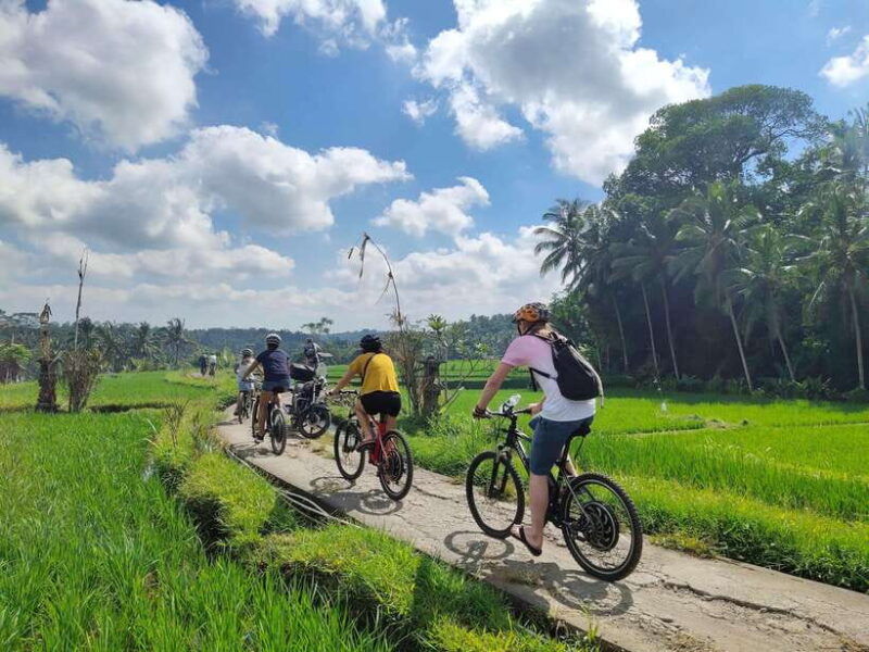 ubud-half-day-tegallalang-electric-cycling-tour